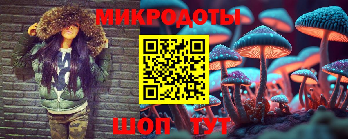 Кудымкар  Галлюциногенные грибы Psilocybine cubensis  Вход с VPN 