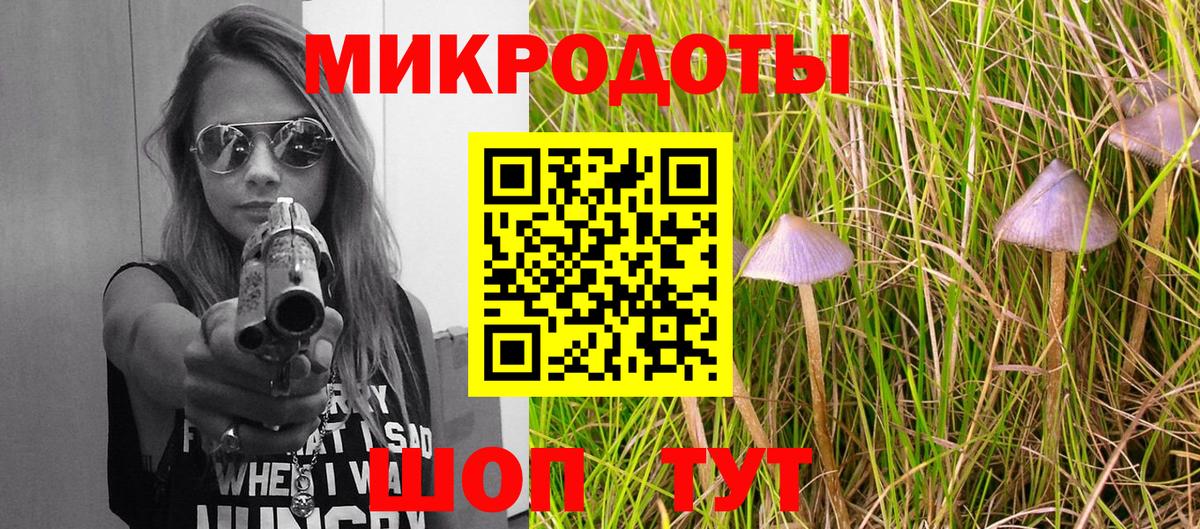 Псилоцибиновые грибы прущие грибы Кудымкар