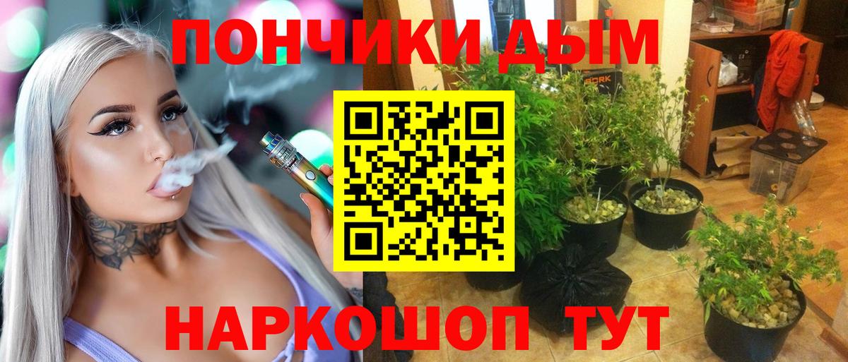 Конопля план  МАРИХУАНА AK-47  Кудымкар  Вход с VPN 